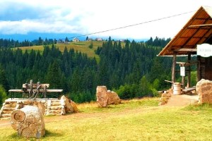 Тур Винний шлях Закарпаття: Полонина Перці